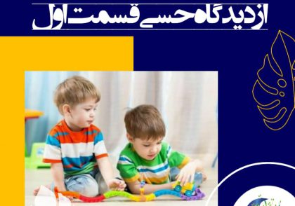 به عقیده ما، جدا کردن اجزای حسی از رشد شناختی خیلی سخت است. با توجه به اهداف مورد نظر در اینجا به مطالعه‌ی رشد شناختی و ترکیبی مهارت‌های اکتسابی و ارتباطی، حافظه و مهارت‌های تطابقی می‌پردازیم.