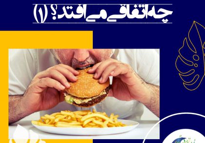 به صورت تصادفی یک بار همین غذا را با اسیدهای چرب اشباع شده تحقیق کردند و یک بار با غذای با اسیدهای چرب و روغن اشباع نشده. در بازار تأکید می‌شود که روغن‌های اشباع شده برای سلامت بد هستند.