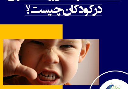علت خشونت و پرخاشگری در کودکان چیست؟ راهکارهایی مفید برای فرو نشاندن خشم در کودکان