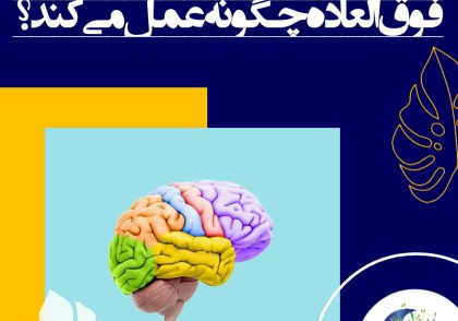 نوزادان در یکی از برجسته‌ترین پروژه‌های ساخت و ساز در زمین، دیدگاه روشنی را برای ما فراهم می‌آورند. هر نوزاد می‌بایستی با برچسب "مونتاژ کنید" به دنیا بیاید.