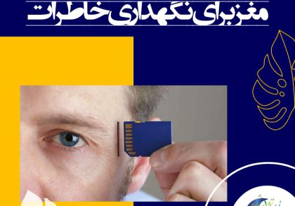 انواع حافظه: حافظه‌ی حسی- حافظه‌ی کوتاه مدت- حافظه‌ی بلند مدت
