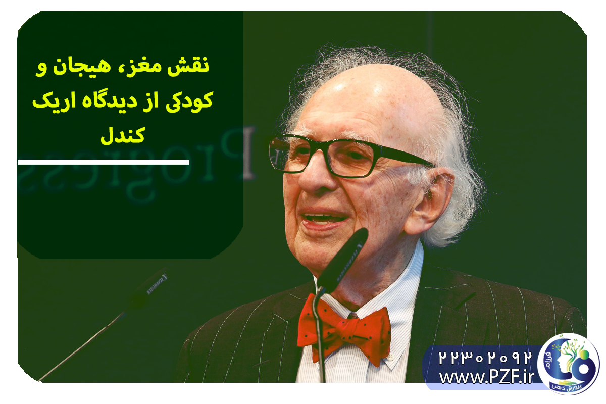از دیدگاه علوم اعصاب، حافظه نتیجه‌ی تغییرات زیستی واقعی در مغز است. پژوهش‌های اریک کندل نشان داد که یادگیری، ساختار و عملکرد نورون‌ها را تغییر می‌دهد.